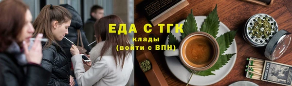 хмурый Алексин
