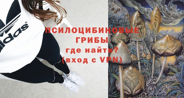 твердый Алзамай