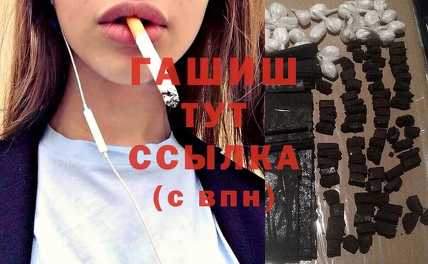 хмурый Алексин