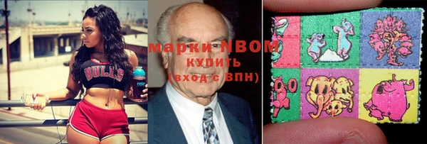 хмурый Алексин