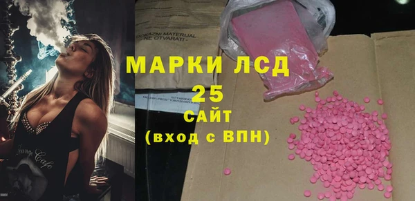 хмурый Алексин